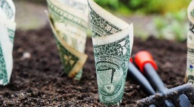 Dünya Bankası açıkladı: İş kurmanın kolay olduğu ülkeler arasında Türkiye de var