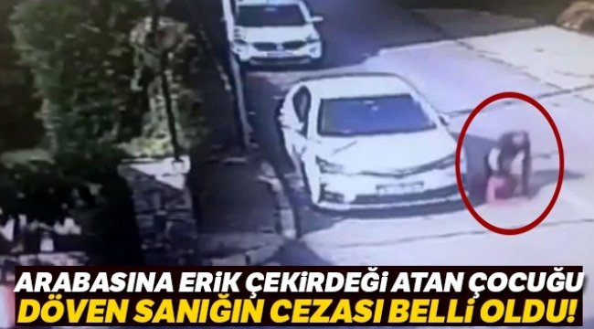 Arabasına erik çekirdeği atan çocuğu döven sanık 3 yıl 9 ay hapse çarptırıldı