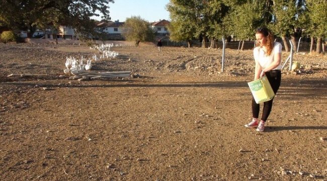 Bu da gerçek Kaz Bank