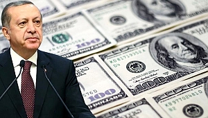 Erdoğan'dan vatandaşa çağrı: Doları bırakın, TL'ye geçin.