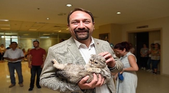 Sosyal tesislerin gıda fazlası ürünleri kedi ve köpeklere.
