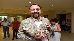 Sosyal tesislerin gıda fazlası ürünleri kedi ve köpeklere.