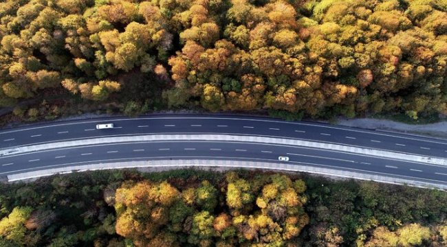 Zonguldak'ta sonbahar güzelliği