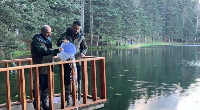 Bakan Pakdemirli kara akbabayı doğaya saldı
