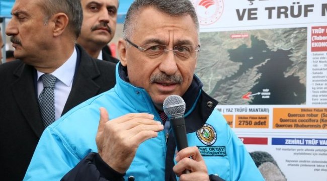 Cumhurbaşkanı Yardımcısı Oktay: “Yerelden kalkınma olmazsa ulusal anlamda kalkınmayı başaramayız”