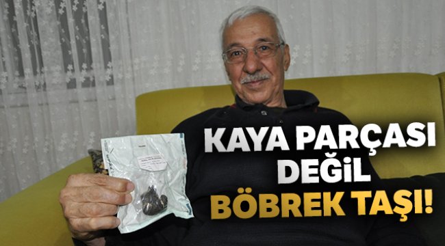 Kaya parçası değil böbrek taşı