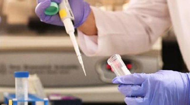 ‘Gizemli virüs’ yeni bir salgının habercisi olabilir'