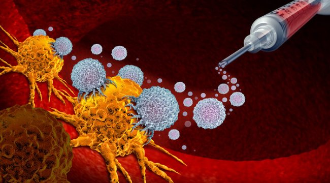 İmmünoterapi nedir? Kanser tedavisinde immünoterapinin rolü