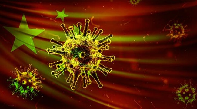 Korkutan açıklama: Gizemli hastalık insandan insana bulaşabiliyor