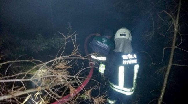 Seydikemer’de orman yangını: 2 dönüm alan yandı