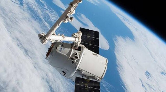 SpaceX bir ilke daha imza attı! 'Süper fareler' uzaya ulaştı