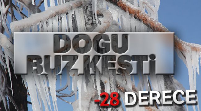Doğu buz kesti: Göle eksi 28’i gördü
