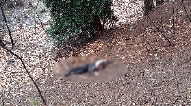 Kumalığı kabul etmeyen kadının başını taşla ezerek öldürdü.