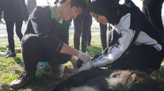 “Sokak hayvanları beslenme noktalarında beslenmeli”