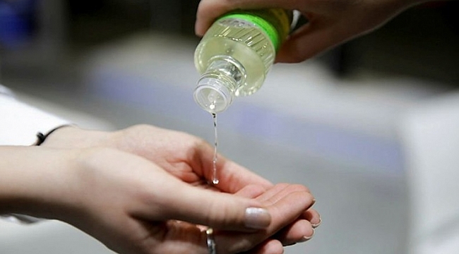 Kolonyacılarda 'korona' kuyruğu.