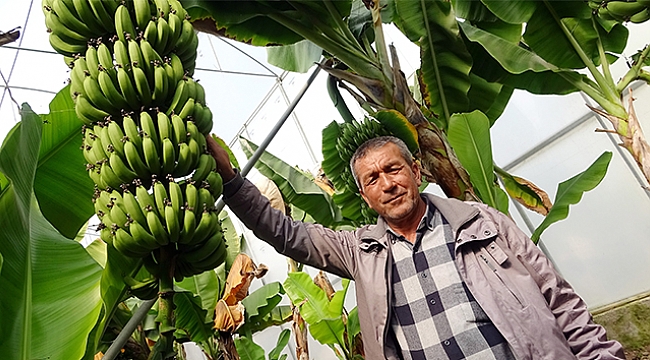 Korona'ya inat Türk çiftçisi üretiyor.