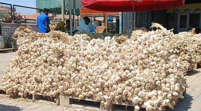 Koronavirüs sarımsağın da ateşini yükseltti.
