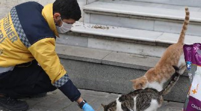 “Sokakta yaşayan minik dostlarımızı unutmuyoruz”