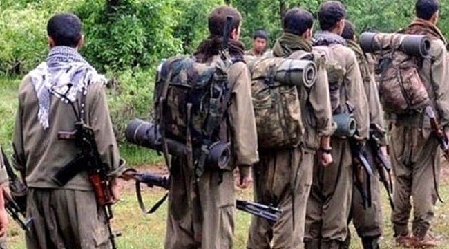 1 milyon lira ödülle aranan PKK'lı terörist yaralı ele geçirildi.