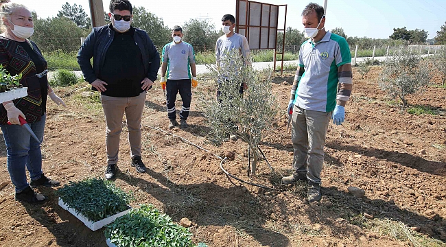 - Başkan Kılıç’tan pandemide gıda önlemi: 16 dönümde 40 bin fide - Başkan Kılıç 16 dönümlük “destek” bostanı kurdu - Bucalılara dağıtılmak üzere 40 bin sebze fidesi.