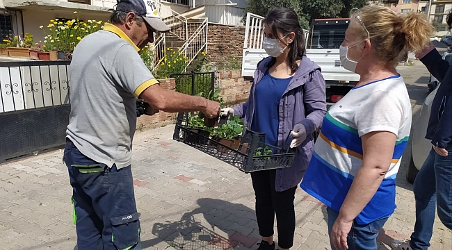 - Buca’da balkon tarımı başladı: “Evde kal, evde üret” - Buca, Covid-19’u üreterek yenecek.
