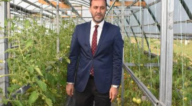 Çiftçilere 15 bin adet atalık sebze fidesi dağıtılacak
