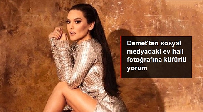 Demet Akalın'dan, sosyal medyadaki ev hali fotoğrafına küfürlü yorum.