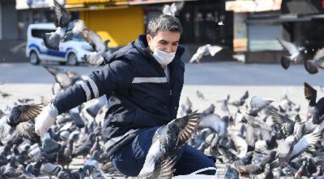 İstanbul'da meydanlar kuşlara kaldı
