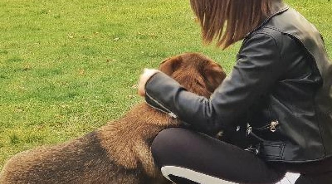 Pandemi sonrası hayvanlarda yalnızlık kaygısı olacak