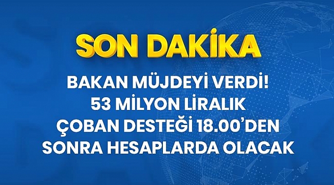 Son Dakika: 53 milyon liralık çoban desteği ödemeleri bugün başlıyor.