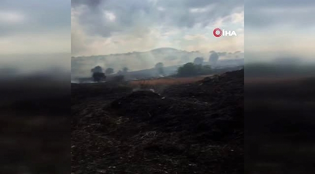İzmir'de korkutan yangın...Ekin tarlaları küle döndü.