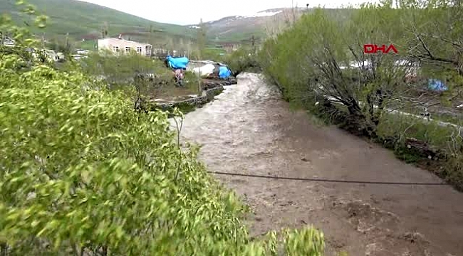 KARS Hızı 70 kilometreye ulaşan fırtına ağaçları devirdi yuvalardaki kuşlar telef oldu.