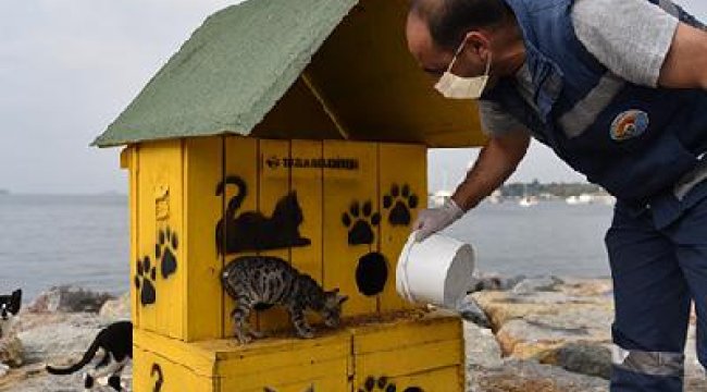 Tuzla’da yenileme çalışmaları devam ediyor
