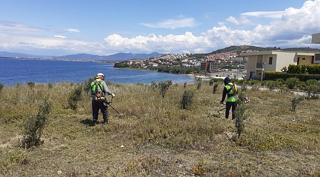 BURHANİYE’DE YABANİ OTLAR TEMİZLENMEYE BAŞLANDI.