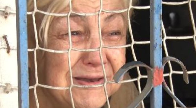 Evini su basan yaşlı kadın 20 kedisi için ağladı; evden çıkmak istemedi