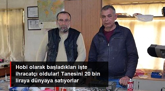 İki kardeş hobi olarak başladıkları maket gemide ihracatçı oldu.