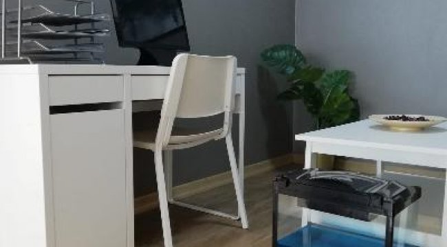 Konutta yeni trend; çalışma odası