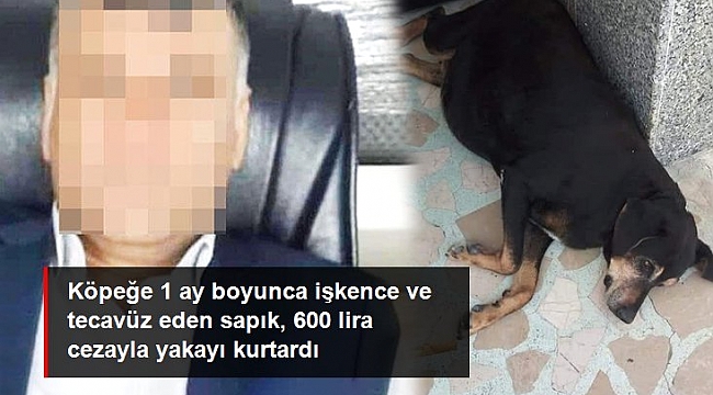 Köpeğe 1 ay boyunca işkence ve tecavüz eden sapık, 600 lira cezayla yakayı kurtardı.