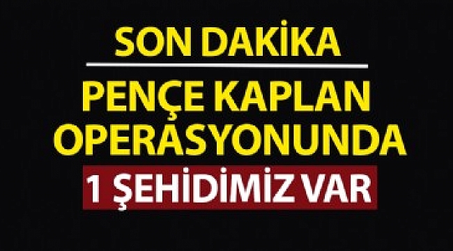 MSB'den SON DAKİKA açıklaması: Pençe Kaplan operasyonunda bir şehidimiz var.