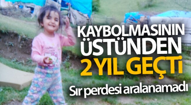 Evrim’in kaybolmasının üzerinden 2 yıl geçti, sır perdesi aralanamadı