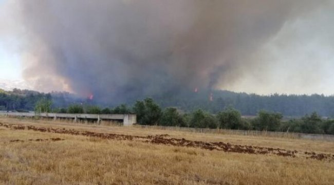 Antalya&#039;da orman yangını! Havadan ve karadan müdahale