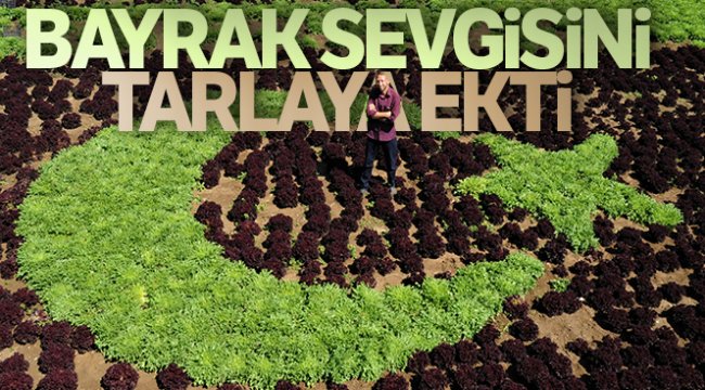 Bayrak sevgisini tarlaya ekti