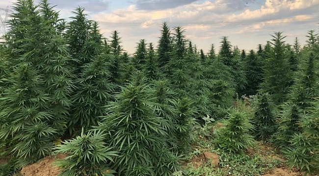 Diyarbakır&#039;da dev uyuşturucu operasyonu.