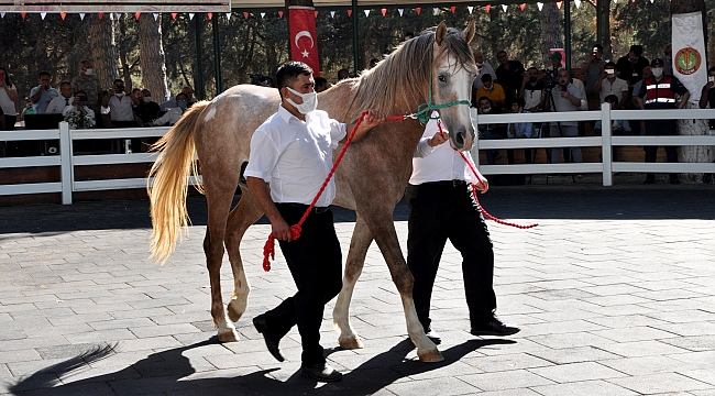 Dubleks ev fiyatına tay.