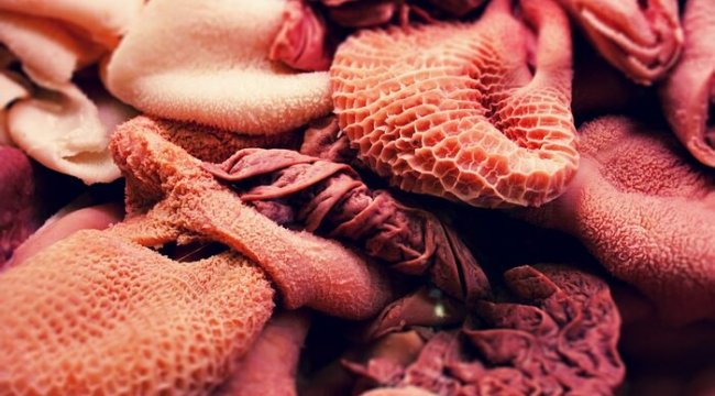 Hangi sakatat neye iyi geliyor? Meğer hep yanlış sakatatı tercih etmişiz