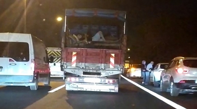 Hayatını hiçe saydı, kamyonetin arkasında uzanarak yolculuk yaptı.