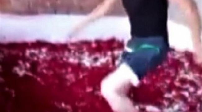 Mide bulandıran görüntüler ortalığı ayağa kaldırdı!.