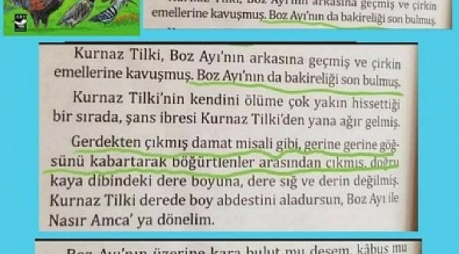 Musa Dinç’in yazdığı ‘Gül ve Düşün’ kitabında tecavüz skandalı.