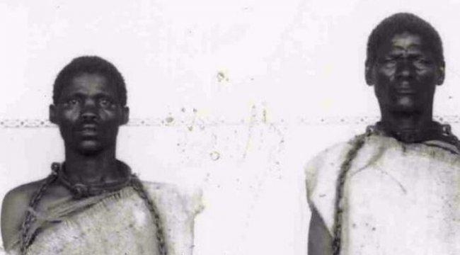 Namibya, 100 bin kişinin öldürüldüğü soykırım için Almanya&#039;nın yaptığı 10 milyon euroluk teklifi reddetti