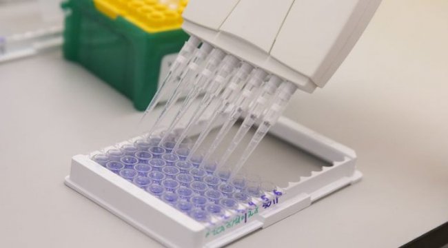 Rusya Sağlık Bakanlığı: Koronavirüs aşısının üretimi başladı